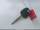 Miniaturka zdjęcia 11