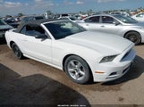 Ford Mustang V6 1ZVBP8EM5D5234459 снимка