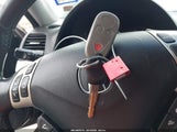 Miniaturka zdjęcia 11