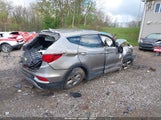 Hyundai Santa Fe Sport 2.4L 5XYZT3LB4HG391575 снимка