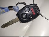 Miniaturka zdjęcia 11