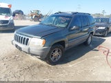 Jeep Grand Cherokee Sport 1J4GX38N22C203513 fotografie