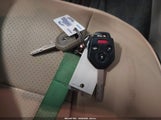 Miniaturka zdjęcia 11