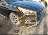 Hyundai Sonata Sport 5NPE34AF4GH326016 fotografie