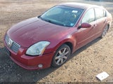 Nissan Maxima 3.5 Sl 1N4BA41E54C874202 снимка