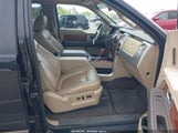 Ford F-150 Fx4/King Ranch/Lariat/Platinum/Xl/Xlt 1FTPW14V19FA90536 fotografie