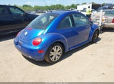 Volkswagen New Beetle Gls 1.8T 3VWCD21C23M437681 fotografie