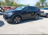 Honda Cr-V Lx 2HKRW6H34HH220294 снимка