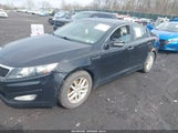 Kia Optima Lx KNAGM4A75D5317252 снимка