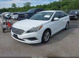 Hyundai Sonata 5NPE24AF1HH561381 fotografie