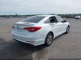 Hyundai Sonata 5NPE24AF1HH561381 fotografie