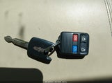 Miniaturka zdjęcia 11