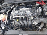 Toyota Corolla Le JTDEPRAE0LJ005357 fotografie