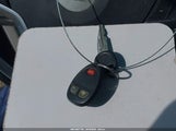 Miniaturka zdjęcia 11