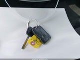 Miniaturka zdjęcia 11