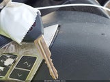 Miniaturka zdjęcia 11