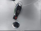 Miniaturka zdjęcia 11