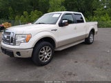 Ford F-150 Fx4/King Ranch/Lariat/Platinum/Xl/Xlt 1FTPW14V29KB30856 fotografie