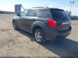 Miniaturka zdjęcia 3