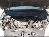 Miniaturka zdjęcia 10