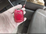 Miniaturka zdjęcia 11