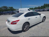 Nissan Maxima 3.5 Sv 1N4AA5APXAC868524 снимка
