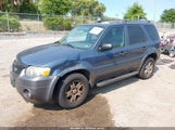 Ford Escape Xlt 1FMYU93125KC09974 снимка