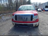 Ford F-150 Xlt 1FTFW1ET8BFA68127 снимка