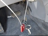 Miniaturka zdjęcia 11