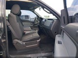 Ford F-150 Stx 1FTFW1CFXEKD99137 снимка