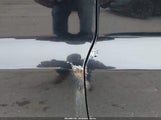 Miniaturka zdjęcia 6