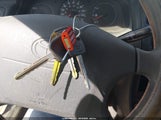 Miniaturka zdjęcia 11