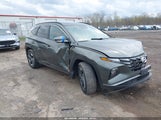 Hyundai Tucson Sel 5NMJF3AE4PH202610 снимка