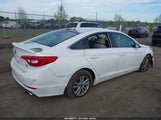 Hyundai Sonata Se 5NPE24AF5FH199035 снимка