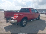 Ford F-150 Xlt 1FTFW1EF3DKF31618 снимка