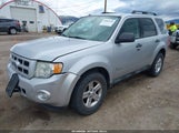 Ford Escape Hybrid 1FMCU5K34BKC71474 снимка