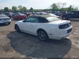 Ford Mustang V6 Premium 1ZVBP8EM3E5208251 снимка