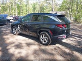 Hyundai Tucson Sel 5NMJB3DE8RH358627 снимка