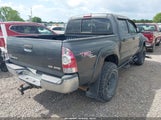 Toyota Tacoma Base V6 3TMLU42N59M036486 photo