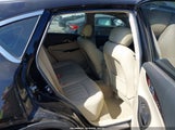 Miniaturka zdjęcia 8