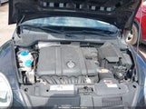 Volkswagen Beetle 2.5L 3VWJX7AT3DM605101 снимка