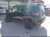 Jeep Renegade Trailhawk 4X4 ZACCJBCBXJPH67675 fotografie