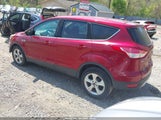Ford Escape Se 1FMCU0GX2EUC35516 снимка
