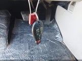 Miniaturka zdjęcia 11