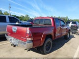 Toyota Tacoma Base V6 3TMLU42N46M003054 снимка