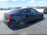 Cadillac Cts Standard 1G6DV57V490162411 снимка