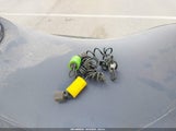 Miniaturka zdjęcia 11