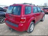 Ford Escape Xls 1FMCU0C7XBKA97480 снимка