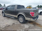 Ford F-150 King Ranch/Lariat/Platinum/Xl/Xlt 1FTPW12V59KC61590 fotografie