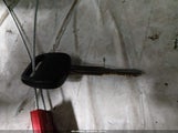 Miniaturka zdjęcia 11